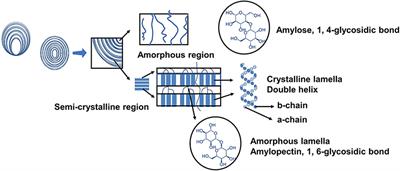 Insight into the incredible effects of microwave heating: Driving changes in the structure, properties and functions of macromolecular nutrients in novel food